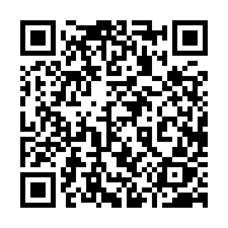 QR code for 9509QZ