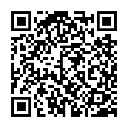 QR code for 9517FX