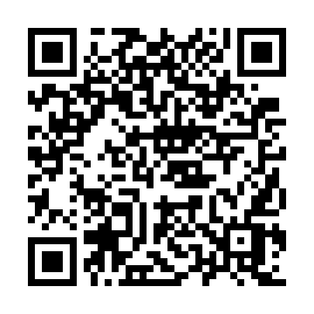 QR code for 9527EV