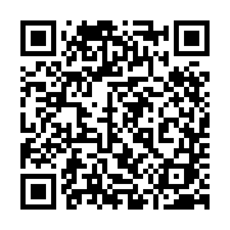 QR code for 9538DI