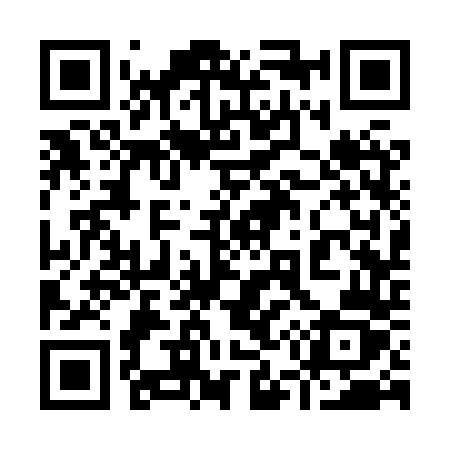 QR code for 9538TZ