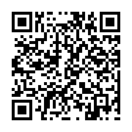QR code for 9539EF