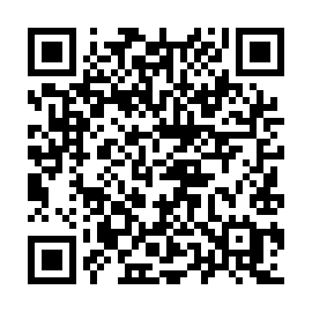 QR code for 9541IE
