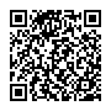 QR code for 9541UL