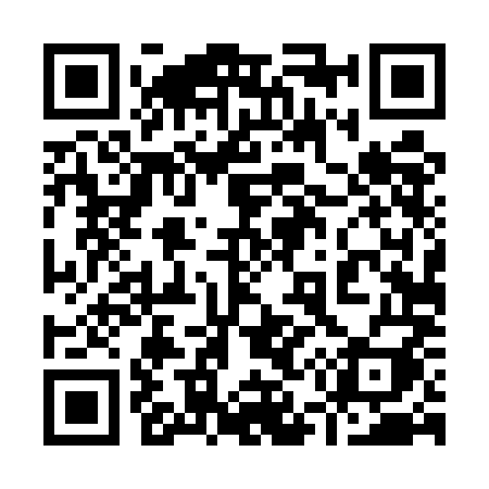 QR code for 9545MI