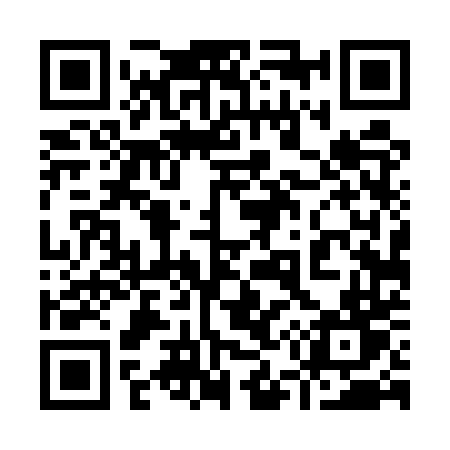 QR code for 9545TT