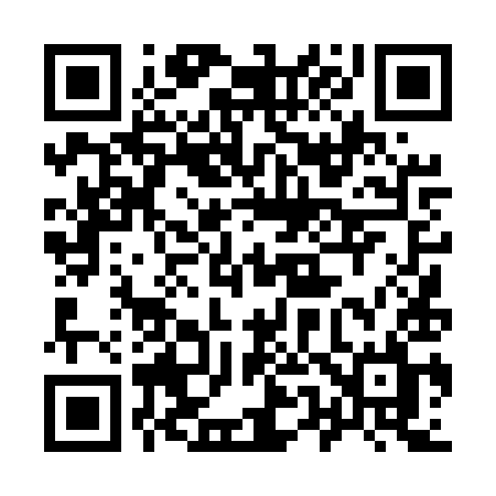 QR code for 9545YL