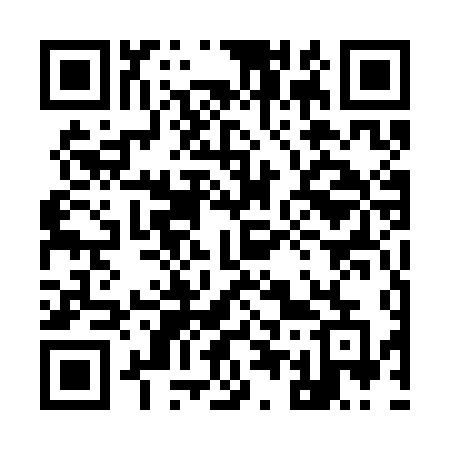 QR code for 9553DE