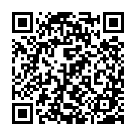 QR code for 9555LM