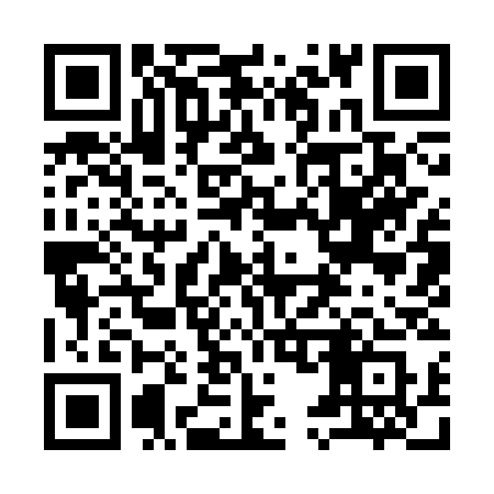 QR code for 9593SS