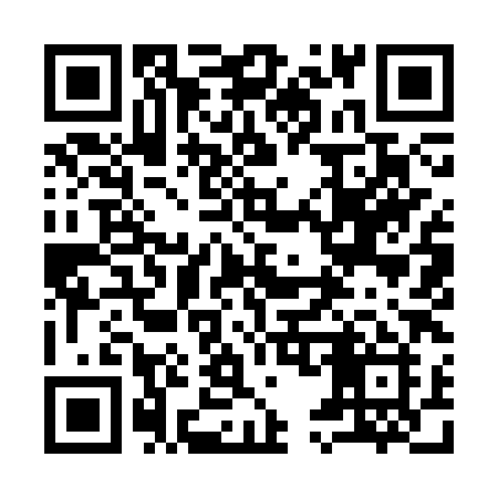 QR code for 9593XI