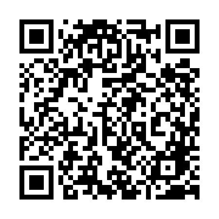 QR code for 9595DG