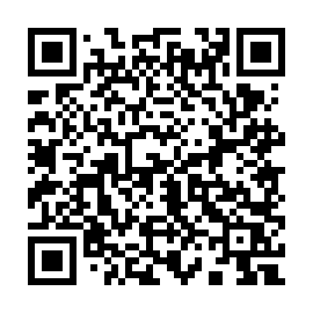 QR code for 9606LR