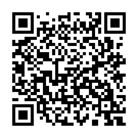 QR code for 9611CO