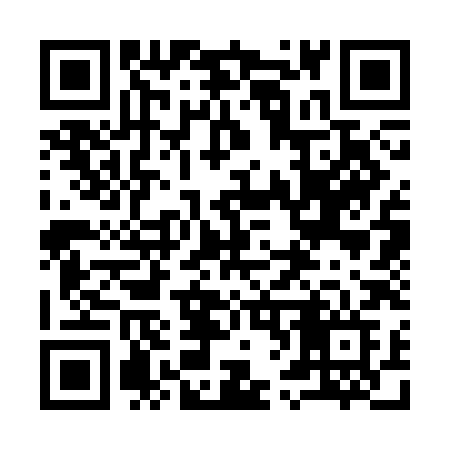 QR code for 9633HF