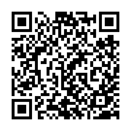 QR code for 9636XT