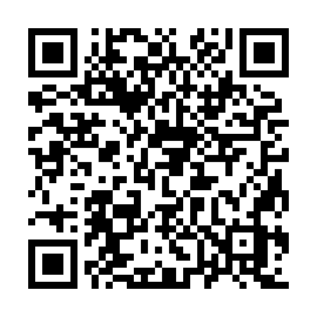 QR code for 9638NZ