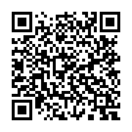 QR code for 9638PX