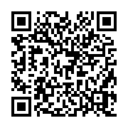 QR code for 9638WV