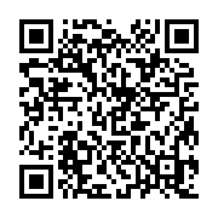 QR code for 9638ZJ