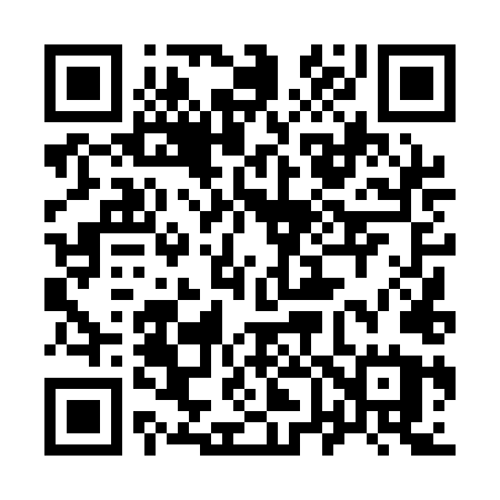 QR code for 9641LU