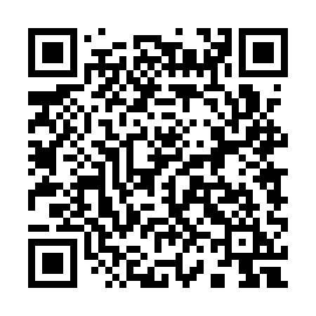 QR code for 9641QI