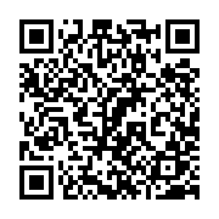 QR code for 9645IR