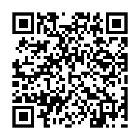 QR code for 9646NR