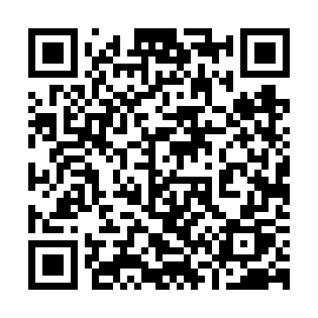 QR code for 9646WP