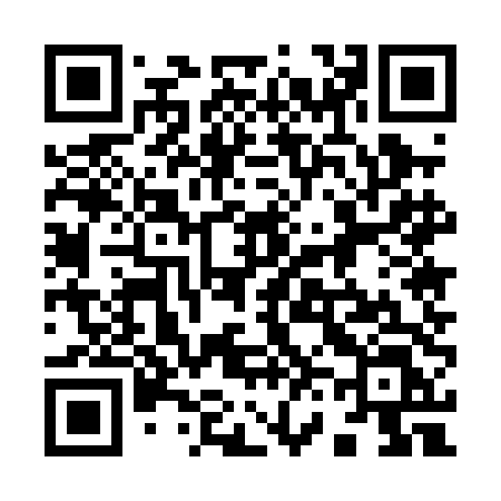 QR code for 9650DL