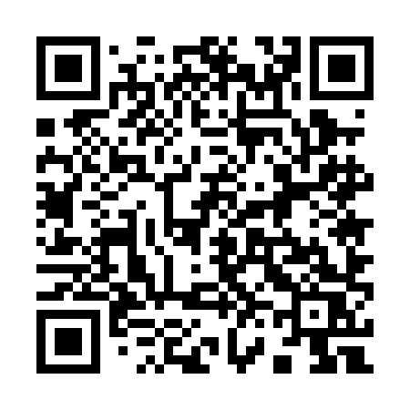 QR code for 9650HS