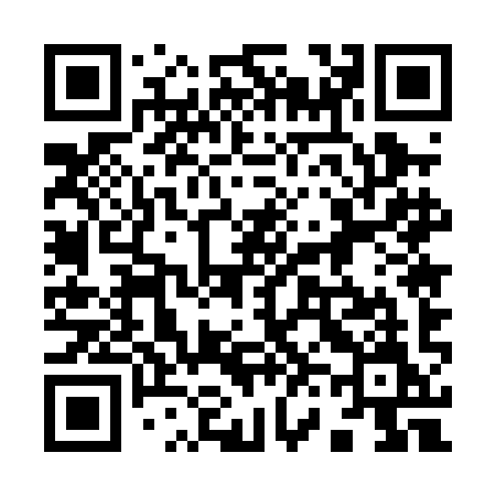QR code for 9650IM
