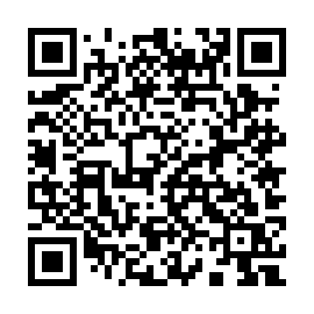 QR code for 9650KS