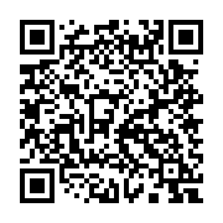 QR code for 9650QI
