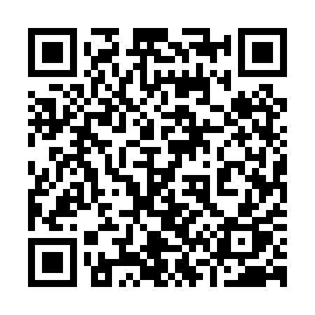 QR code for 9650QP