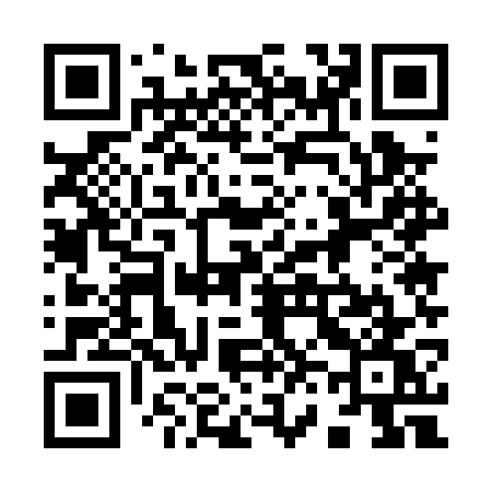 QR code for 9650WW