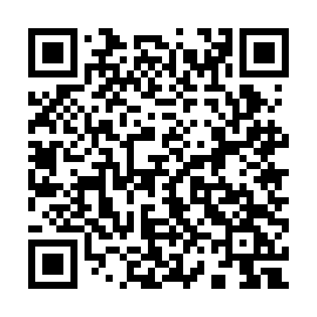 QR code for 9652DG
