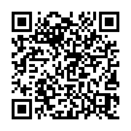 QR code for 9655AS
