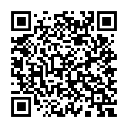 QR code for 9656XL