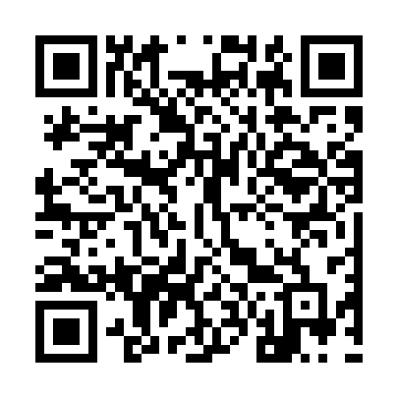 QR code for 9665SD