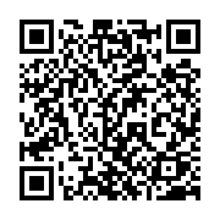 QR code for 9665SP