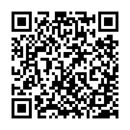 QR code for 9667NS