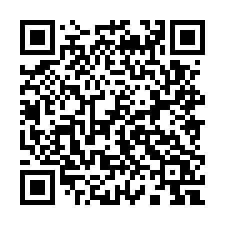 QR code for 9685PV