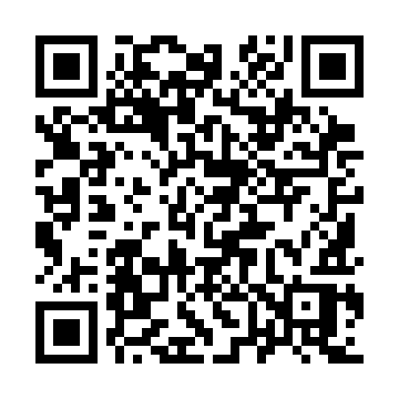 QR code for 9693IR