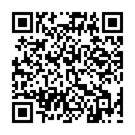QR code for 9693NI