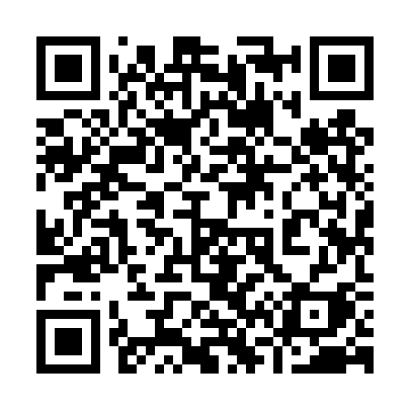 QR code for 9694SI