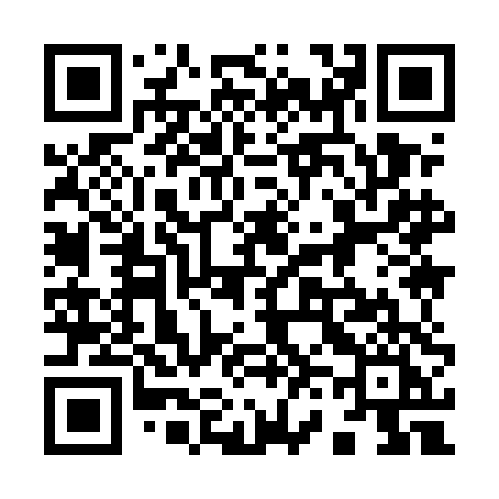 QR code for 9695DI