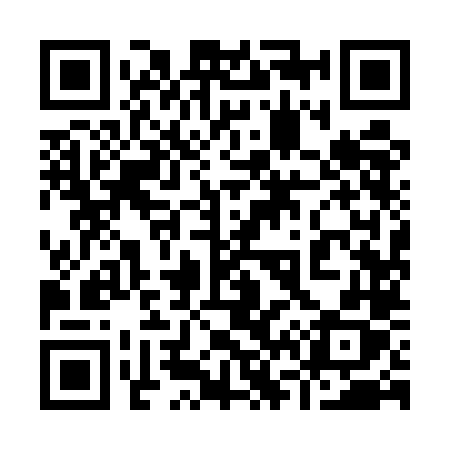 QR code for 9695LX