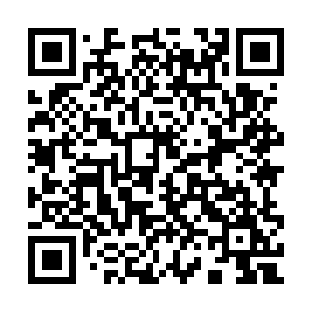 QR code for 9695XM