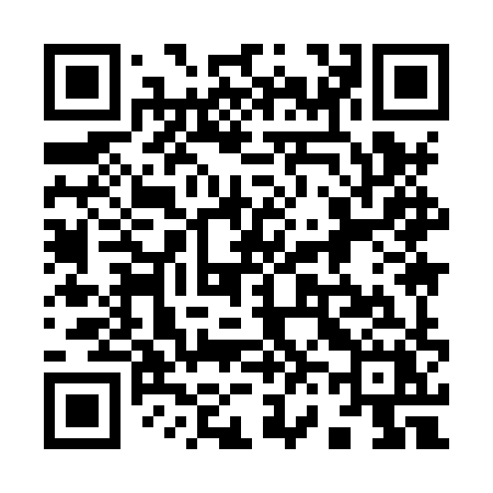 QR code for 9698XX